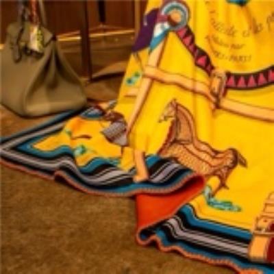 wholesale quality hermes blankets model no. 22